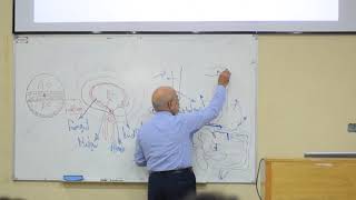 dvelopment of the tracheoesophageal tube and larynx PART 1 [upl. by Conias]