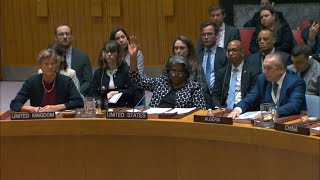 US vetoes UN Security Council Gaza ceasefire push  AFP [upl. by Mila]