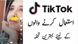 TikTok New And Amazing Secret Must Watch 2019 [upl. by Erlandson581]