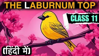 THE LABURNUM TOP CLASS 11 [upl. by Yrrej844]