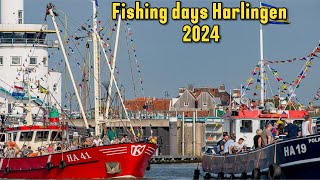 Fishing adventure in Harlingen in 2024 holland visitnetherlands event fishingday harlingen [upl. by Lunette]