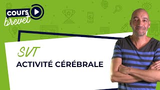 BREVET de SVT  Activité cérébrale [upl. by Naro74]