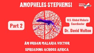 US Global Global Malaria Coordinator on the spread of Anopheles Stephensi [upl. by Vigor]