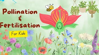 Pollination And Fertilization Of Plants  Science Lecture [upl. by Lahcsap]