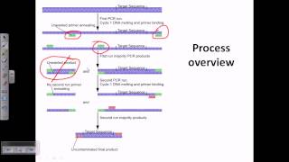 Nested PCR [upl. by Anirahc]