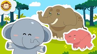 Lagu Anak Anak  Gajah 🐘  Mengenal Binatang  BaLiTa  Baba Lili Tata gajah laguanakindonesia [upl. by Pomeroy]