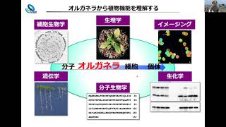 オルガネラ制御研究室 研究室紹介（基礎生物学研究所 大学院説明会2024） [upl. by Epuladaugairam]