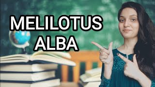 MELILOTUS ALBA HOMOEOPATHIC MEDICINEEXPLAINED WITH ALLEN KEYNOTES DRDEEKSHA [upl. by Pompea]