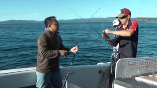 Fishing in Merimbula 26 Dec 13 [upl. by Airdnna]