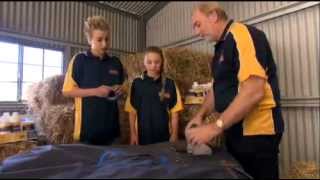 Repairing Horse Rugs  Ripsnorta  All About Animals TV Show [upl. by Ivz]