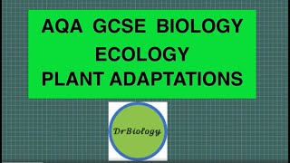 Plant Adaptations AQA GCSE Biology [upl. by Ellora]