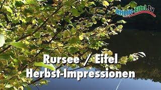 Rursee  Herbstmotive  Musikversion  RheinEifelTV [upl. by Lemuela614]