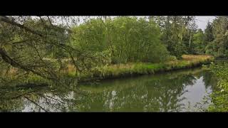 Ecola Creek 8 9 24 short 1080P [upl. by Congdon]