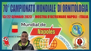 Grandisimo reportaje del Mundial de Ornitologia en NAPOLES 🇪🇸🇪🇸🇪🇸 [upl. by Miller]