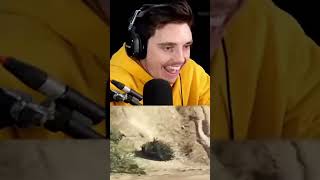 GTA Meme Olympics lazarbeam gta gaming fyp [upl. by Chuipek]