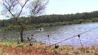 Carp fishing Africa [upl. by Tennaj]