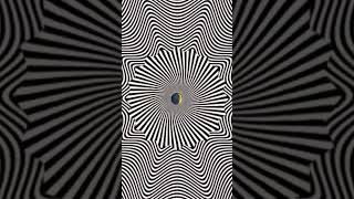 viralvideo illusion illusionhypnosis hypnotize opticalillusion hypnotized [upl. by Aerdnad]