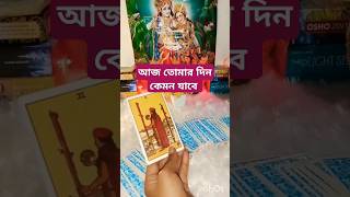 Ajker dinti kemon jabe💫 tarot tarotreading আপনারদিনকেমনযাবে টাইমলেসতারোত্রেডিং tarotdivine555 [upl. by Ecylahs238]