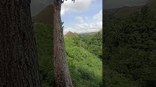 chocolate hills in Bohol [upl. by Britni]