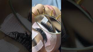 Wispy Volume Lash Application lashes wispylashes lashextensions fyp shorts satisfying beauty [upl. by Stockton645]