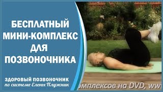 Бесплатный короткий комплекс из 7 упражнений при боли в спине от Елены Плужник [upl. by Winou]