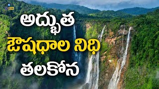 అద్భుత ఔషధాల నిధి తలకోన  Talakona Waterfalls  Talakona ForestTirupati  Eyecon Facts [upl. by Atnoled719]