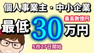 ５月２７日開始・個人事業・中小企業・最低３０万円１００万円・最高億円単位・省エネ設備更新・省エネ補助金・投資促進需要構造転換支援事業費・省エネルギー投資促進支援事業費補助金【マキノヤ先生】第1796回 [upl. by Maggee894]