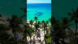 🇩🇴 Viva Wyndham Dominicus Beach Resort 🌴short shorts beach bayahibe shortsvideo shortvideo [upl. by Gayelord]