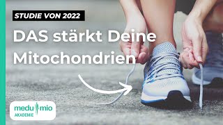 Mitochondrien in Topform ​🔬​ Studie 2022 So hilft Bewegung Deinen Zellen [upl. by Shina]