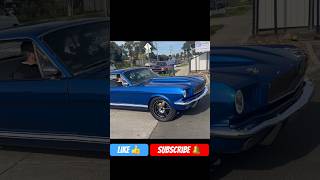 Aussie Mustang💙 mustang australia classic carchicmedia viral subscribe like foryou fyp 67 [upl. by Anerol870]