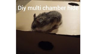 How to make a multi chamber hide for a hamster 🐹 [upl. by Nayllij]