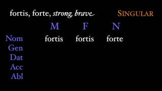 Third Declension Adjectives [upl. by Nepsa]