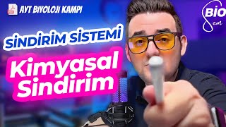 Sindirim Sistemi3 Besinlerin Kimyasal Sindirimi  Ayt Biyoloji Konu Anlatımı 11 Sınıf  2024 [upl. by Nananne]