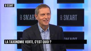 La taxonomie verte sujet du quotDébat RSEquot du 24 novembre 2020 sur B SMART TV [upl. by Elocen]