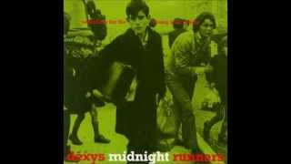 Dexys Midnight Runners  Thankfully Not Living in Yorkshire It Doesnt Apply [upl. by Wadleigh794]