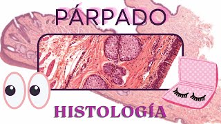 Histología del Parpado [upl. by Beaston]