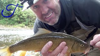 Catching LIVE SUCKERS FOR BAIT for River MUSKIES [upl. by Tessler]