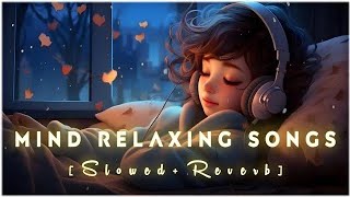 mind relaxing mashup 2023  mind relaxing songs lofi mashup 2023  mind relaxing songs [upl. by Ecinaj254]