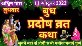 बुध प्रदोष व्रत कथा 2024 Budh Pradosh Vrat Katha 2024  Budhwar Pradosh vrat katha 2024 [upl. by Rivkah]