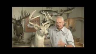 Deer Head Remount  Rinehart Taxidermy Institute Umountit [upl. by Riocard]