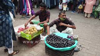 Jamun seller sits in the middle of narrow lane in Sarojini Market hawks fruit produce mask on face [upl. by Selig]