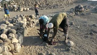 Preparation for dinner Djibouti [upl. by Aneev]