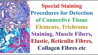 Special Staining Procedures for Detection of Connective Tissue Elements Trichrome Staining [upl. by Agathe]