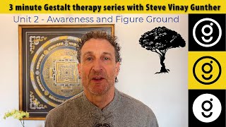 Awareness and Figure Ground in Gestalt therapy • 3 minute Gestalt series 2 [upl. by Ringo]