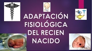 RECIÉN NACIDO  ADAPTACIÓN FISIOLÓGICA [upl. by Minnaminnie]