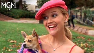 LEGALLY BLONDE 2001  Elle Wood’s BacktoSchool Guide  MGM [upl. by Stander]