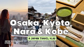 5Day Japan Travel Itinerary  OSAKA KYOTO NARA amp KOBE day trips places to eat travel tips [upl. by Julia]