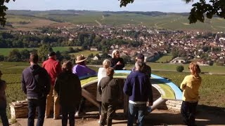 Private Tasting of Chablis Wines at the Prestigious Domaine Laroche [upl. by Josy]