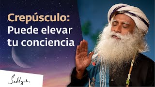 Cómo el crepúsculo puede aumentar tu consciencia  Sadhguru Español [upl. by Adnot]