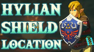 Zelda Tears of the Kingdom  How to Get Hylian Shield [upl. by Olav]